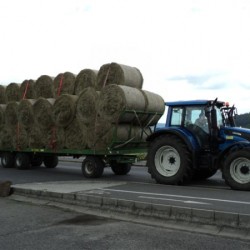 Přepravník balíků T 026